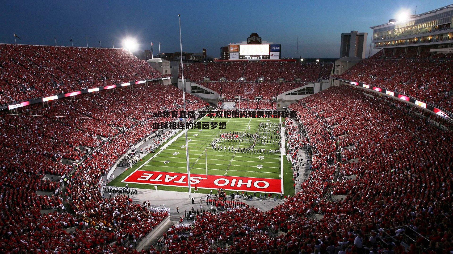 罗家双胞胎闪耀俱乐部联赛，血脉相连的绿茵梦想