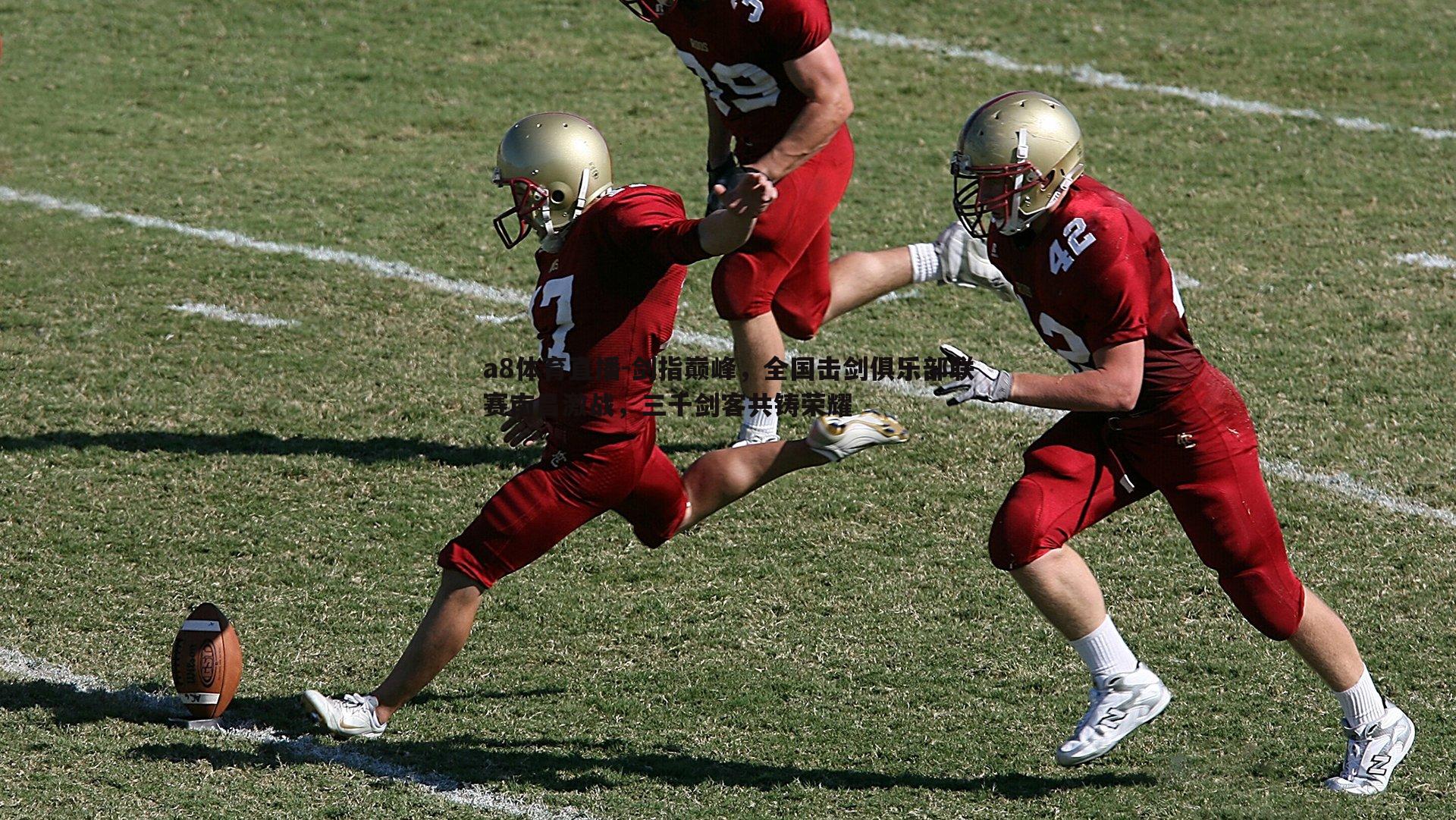 剑指巅峰，全国击剑俱乐部联赛南昌激战，三千剑客共铸荣耀